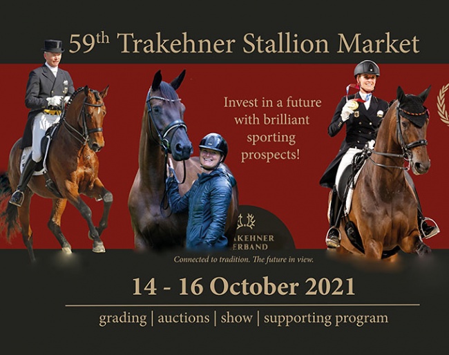 2021 Trakehner Hengstmarkt - Trakehner Stallion Licensing and Auction