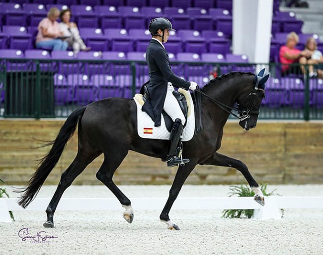 Pablo Gomez Molina and Servus Ymas at the 2021 CDI-W Ocala :: Photo © Sue Stickle