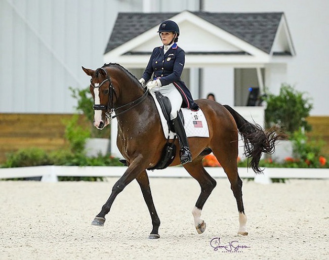 Ashley Holzer and Diane Fellows' Havanna at the 2021 CDI-W Ocala :: Photo © Sue Stickle