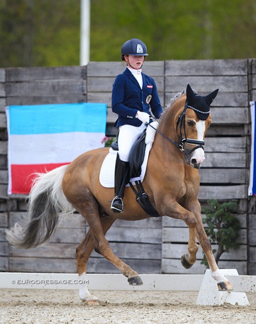 Florentina Jöbstl and Colourfull Cannonball at the 2021 CDI Sint-Truiden :: Photo © Astrid Appels