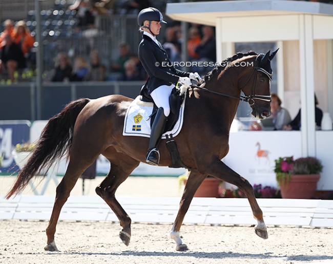Emma Ahlberg and Furstepoppel at the 2021 World Young Horse Championships in Verden :: Photo © Astrid Appels