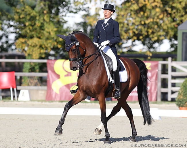 Stephanie Brieussel and Amorak at the 2019 CDI Waregem :: Photos © Astrid Appels