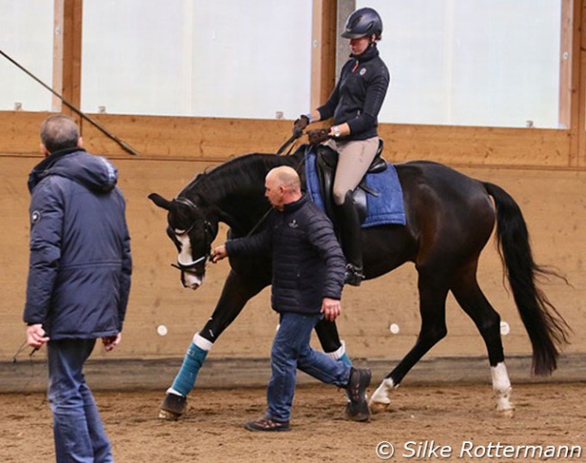 Stefan Stammer making his own kilometers trotting next to the horses he evaluated and treated in "The Nature in Training" seminar in Ehlershausen on 5 - 7 November 2021 :: Photo © Silke Rottermann