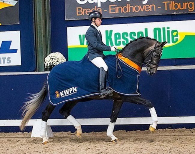 Alvaro Conesa de Oliveira on Everest at the 2021 KWPN West-Brabant Young Dressage Talents Competition :: Photo © Digishots
