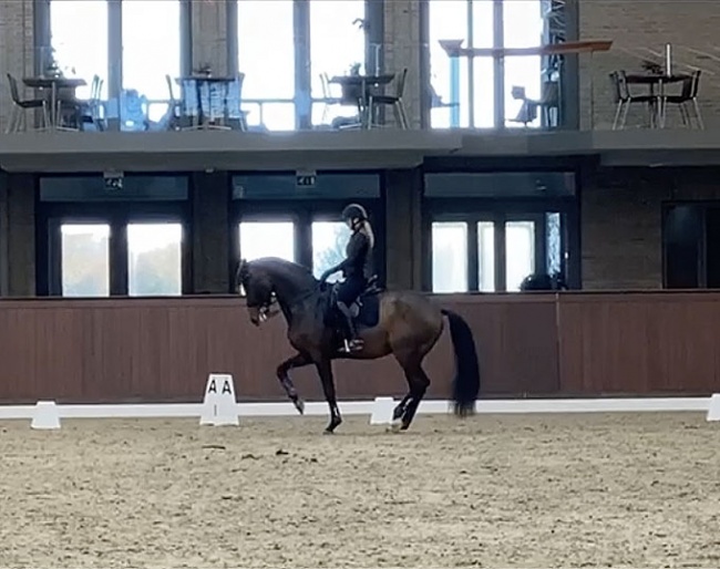 Nanna Merrald and Blue Hors Zatchmo practising the Grand Prix test at home for the CDI Randbøl
