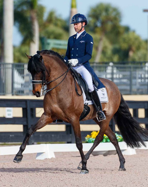 Nicholas Fyffe and Fiero HGF at the 2021 CDN Wellington :: Photo © Lily Forado