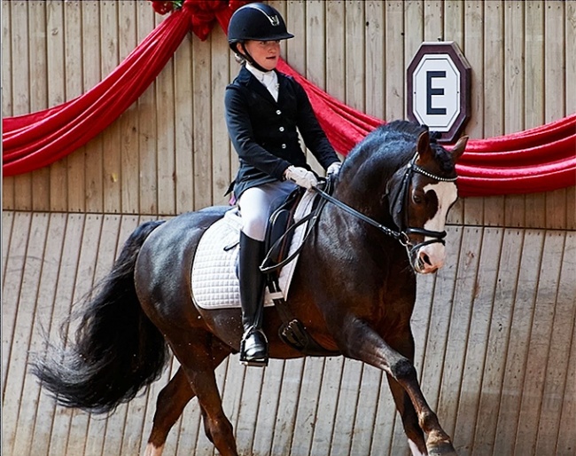 Sara Aagaard Hyrm and Moelgarnedd Montana in 2013 :: Photo © private
