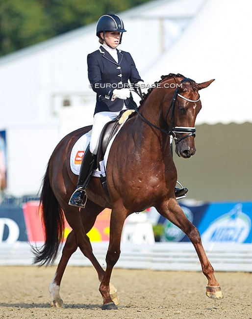 Vai Bruntink and Darabel at the 2014 World Young Horse Championships in Verden :: Photo © Astrid Appels