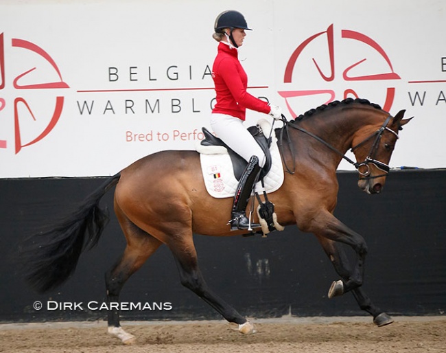 Joyce Lenaerts and Mentor at the 2018 Belgian Warmblood Stallion Licensing :: Photo © Dirk Caremans