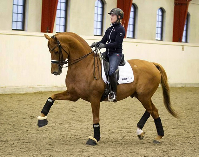 Anna Zibrandtsen on Dorado in Sweden :: Photo © Tullstorp.nu