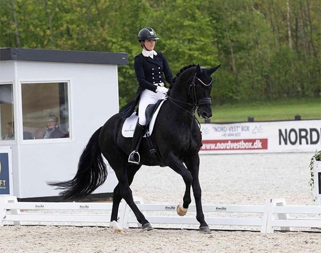 Anne-Mette Strandby Hansen on Hennessy :: Photo © Mia Bach/Helgstrand