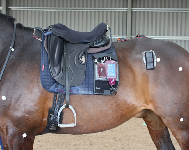 Fairfax Saddles scientifically investigates a horse’s performance in relation to the rider's seat in the saddle 
