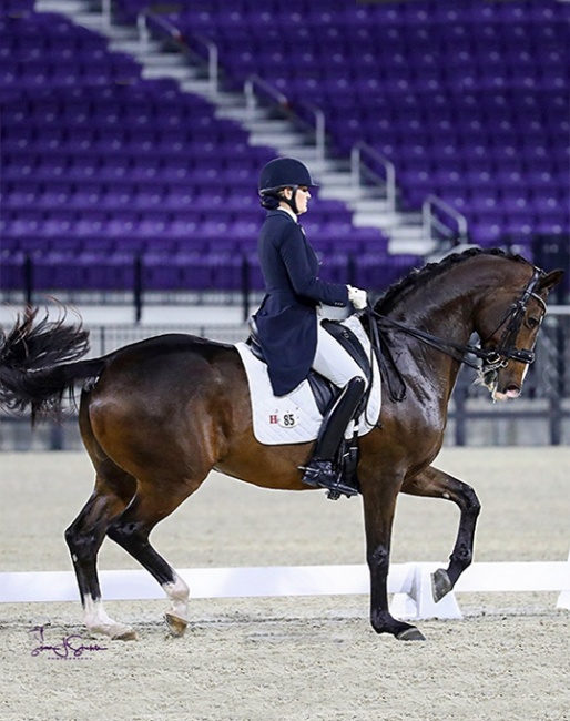 Ashley Holzer and Havanna at the 2021 CDI-W Ocala :: Photo © Sue Stickle