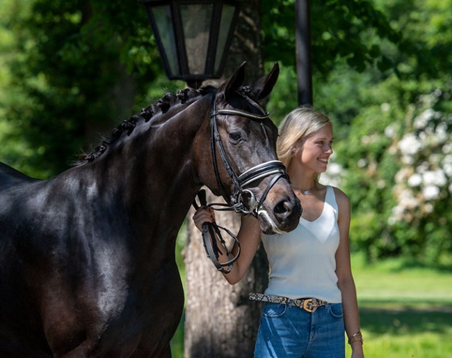 You love breeding Oldenburg horses and are Under 30? Take your chance!