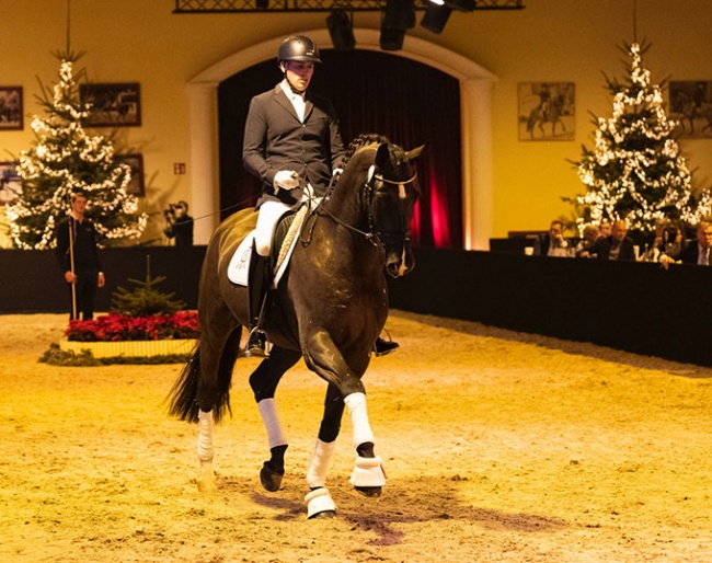 Frederic Wandres riding Fürst Bayram at the 2021 PSI Auction