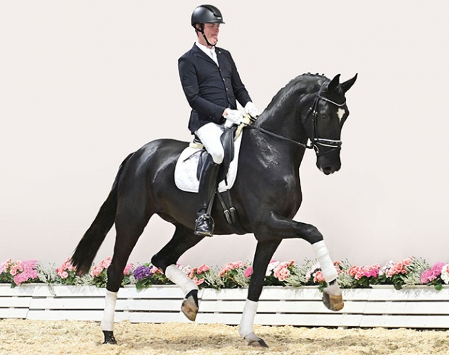 Summerville (by Sezuan x Diamond Hit x Florencio) :: Photo © feldhaus