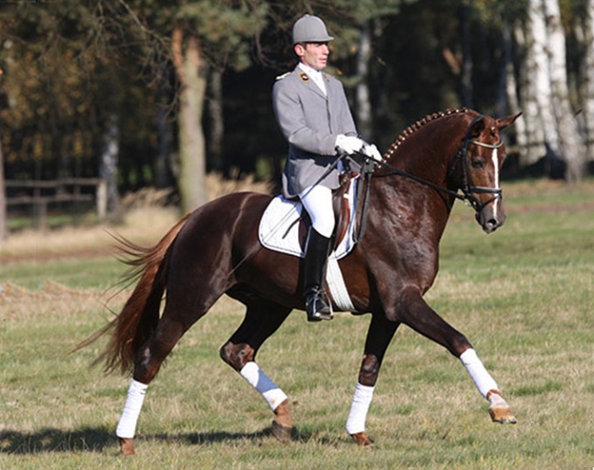 Wolfhard Witte and Furst Nymphenburg in 2008 :: Photo © Celle
