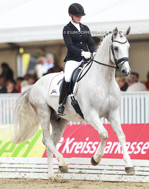 Ines Knoll and the 5-year old Fairplay H at the 2014 World Young Horse Championships :: Photo © Astrid Appels