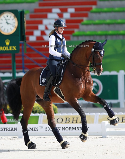 Maree Tomkinson schooling Diamantina at the 2014 World Equestrian Games :: Photo © Astrid Appels