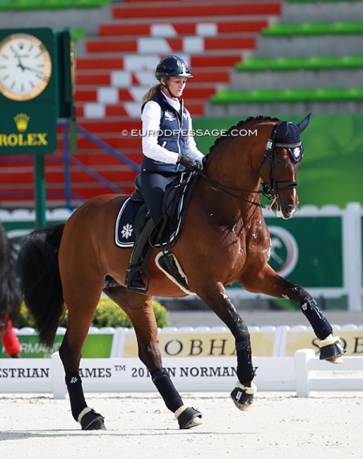 Maree Tomkinson schooling Diamantina at the 2014 World Equestrian Games :: Photo © Astrid Appels