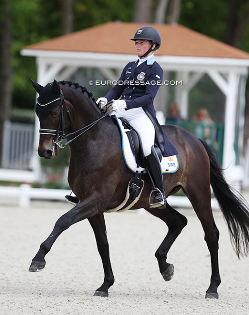 Malin Rinne and Scharmeur at the 2017 CDIO Compiegne :: Photo © Astrid Appels
