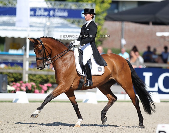 Kira Wulferding on Stall Tannenhof's Brianna at the 2018 World Young Horse Championships in Ermelo :: Photo © Astrid Appels