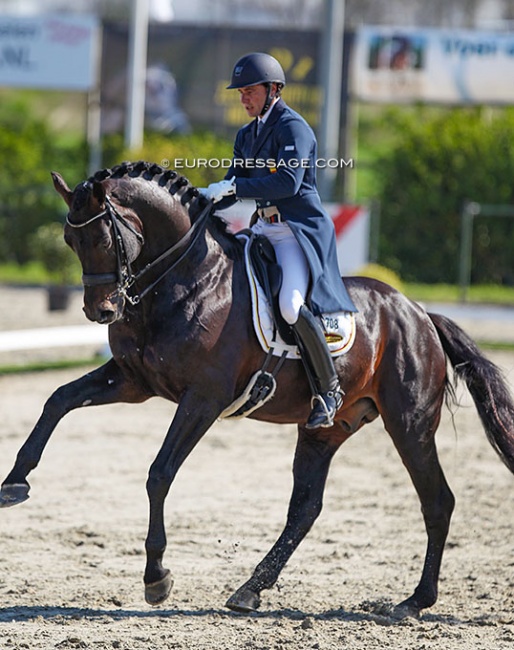 Jordi domingo Coll and Dolman at the 2019 CDI Nieuw en St. Joosland :: Photo © Astrid Appels