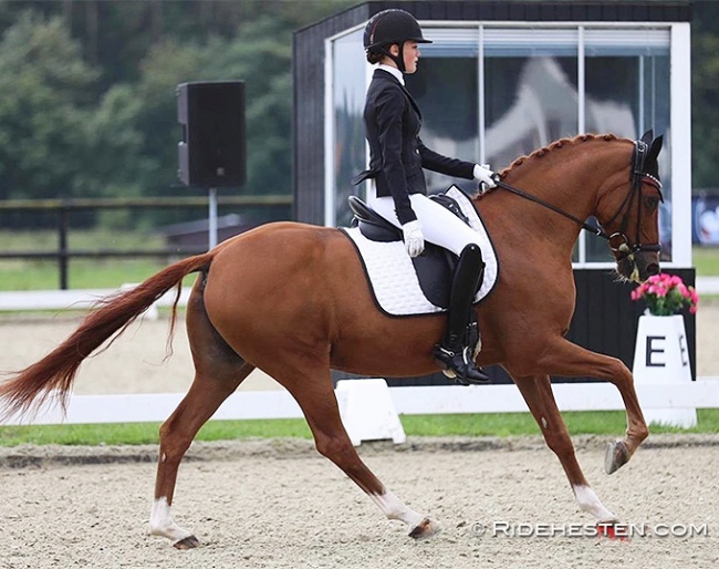 Sophia Obel Jorgensen and Adriano B at the 2021 Danish Pony Championships :: Photo © Ridehesten