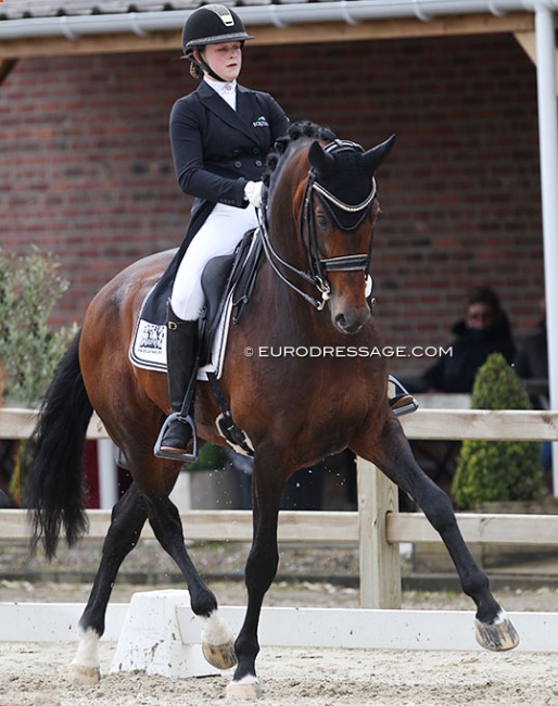 Micky Schelstraete and Cachet L at their international junior debut at the 2021 CDI Sint-Truiden :: Photo © Astrid Appels