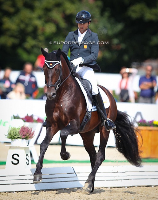 Pedro Hernandez and Fuego TG at the 2021 World Championships for Young Dressage Horses :: Photo © Astrid Appels
