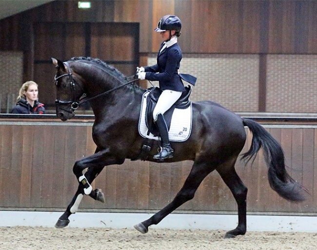 This is Naqueen (by Trafalgar x Samba Hit) :: Photo © NRPS