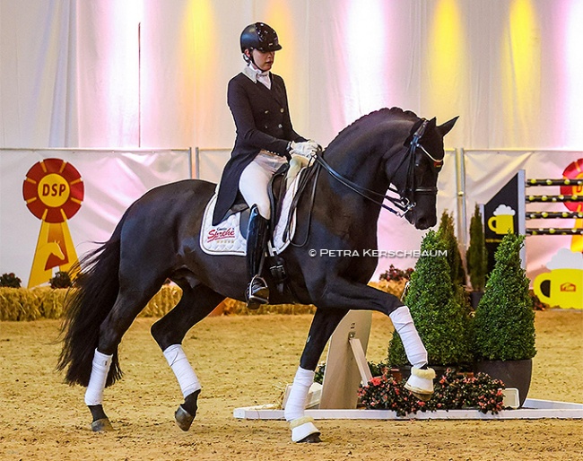 Simone Pearce on Millennium at the 2022 DSP Stallion Licensing in Munich :: Photo © Petra Kerschbaum