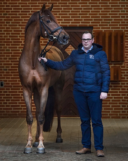 Martin Klavsen with Blue Hors Baron :: Photo © Blue Hors