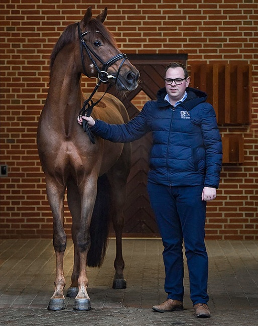 Martin Klavsen with Blue Hors Baron :: Photo © Blue Hors