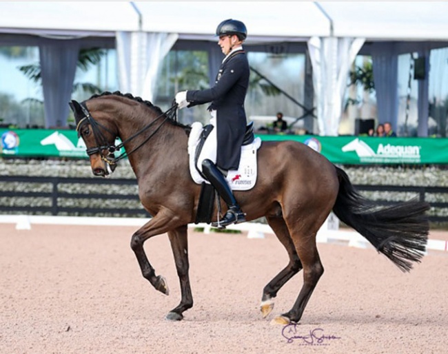 Frederic Wandres and the Russian owned Bluetooth at the 2022 CDI-W Wellington :: Photo © Sue Stickle