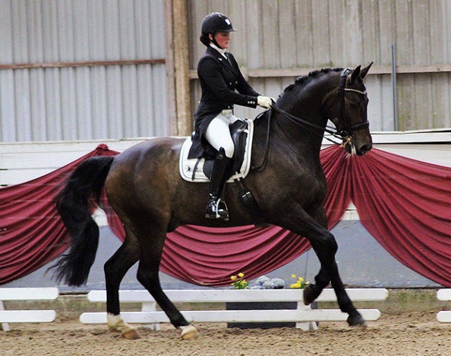 Treldegaards Shandreo (by Sandro Hit x His Highness)