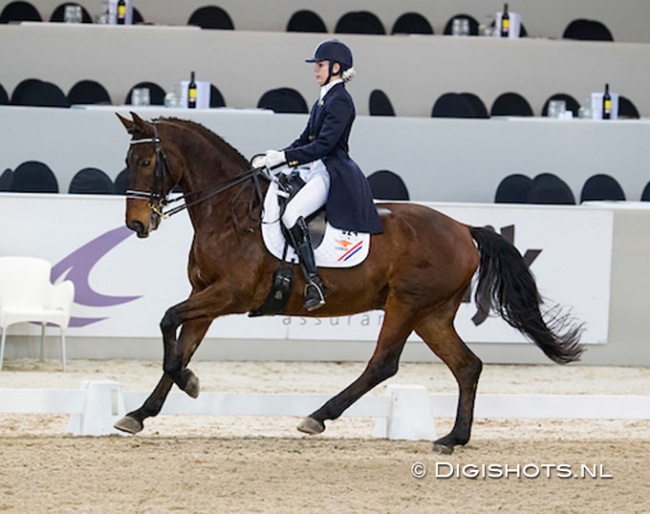 Carlijn Huberts and Othello at the 2014 CDI Drachten :: Photo © Digishots