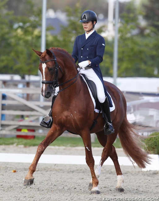 Kazuki Sado on Ludwig der Sonnenkonig at the 2019 CDI Waregem :: Photo © Astrid Appels