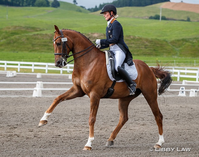 Kallista Field competing Felix at the 2020 New Zealand Dressage Championships in Taupo :: Photo © Libby Law