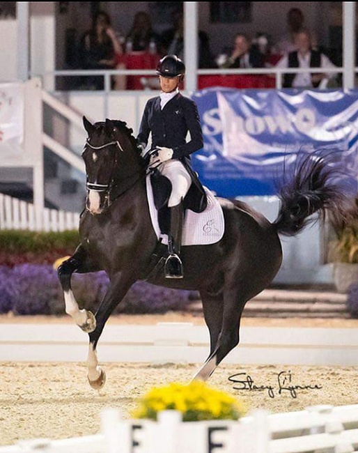 Shannon Stevens and Ferrari at the 2021 CDI-W Devon :: Photo © Stacy Lynn Photography