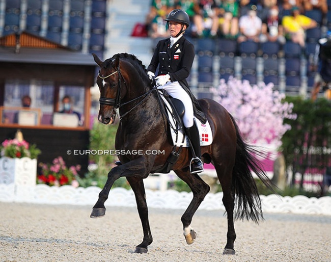 Blue Hors Zack competing at the 2021 Olympic Games in Tokyo :: Photo © Astrid Appels
