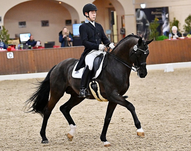 Young-Shik Hwang on the Trakehner licensing champion Perpignan Noir at the 2022 CDN Ankum :: Photo © Ruchel