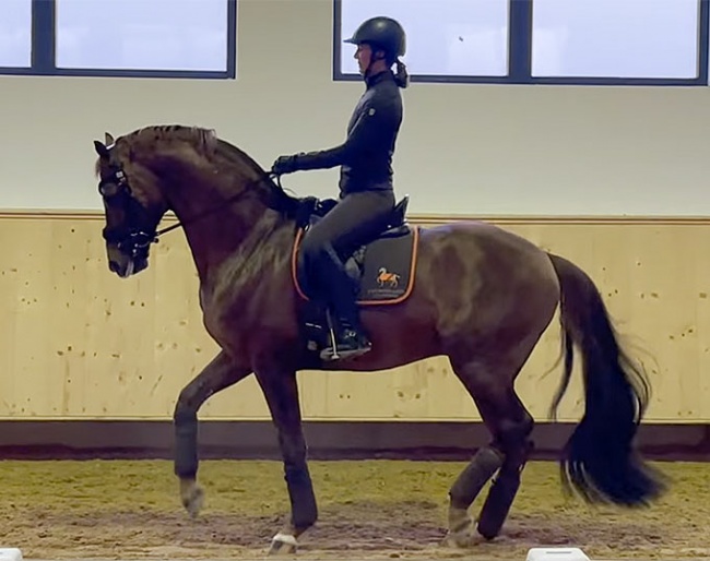 Lisa Müller schooling D'Avie at home at Gut Wettlkam, based in the south of Germany