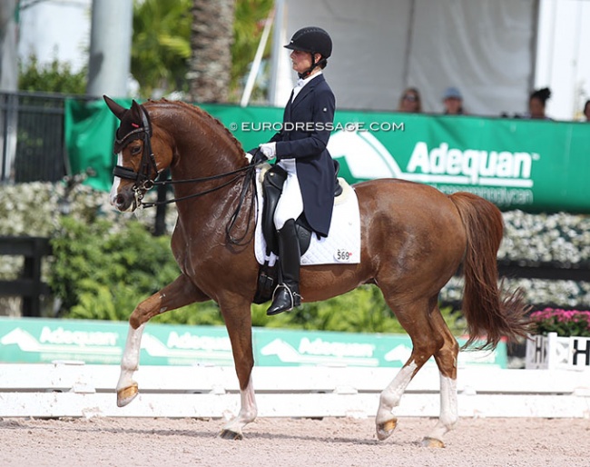 Carrie Schopf and Saumur at the 2022 CDI Wellington :: Photo © Astrid Appels