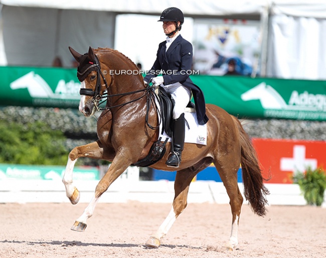 Carrie Schopf and Saumur at the 2022 CDI Wellington :: Photo © Astrid Appels