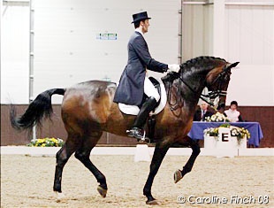 Wim Verwimp and Maxwil V at the 2008 CDI Addington :: Photo © Caroline Finch