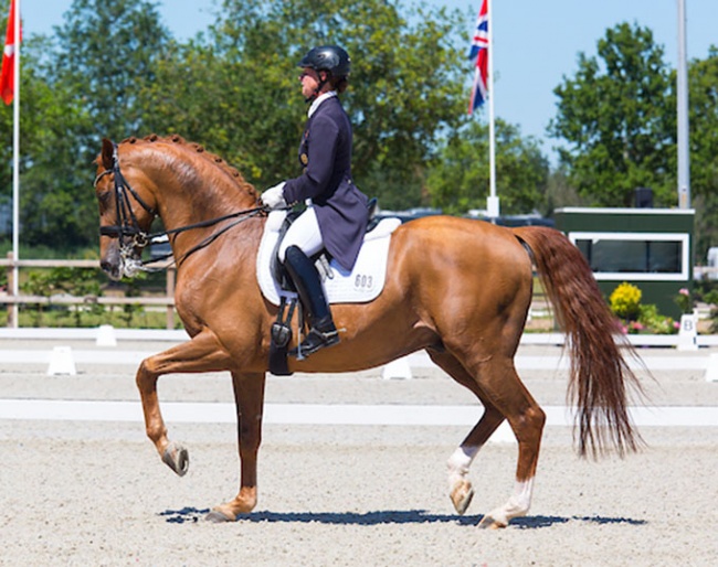 Emma Hindle and Diesel at the CDI Exloo :: Photo © Digishots