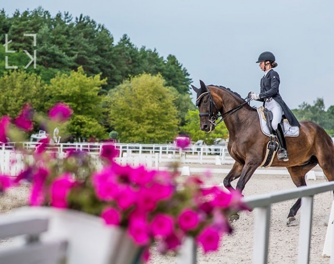 Top level dressage competition at Stable Unikornis in Hungary :: Photo © Lukasz Kowalski