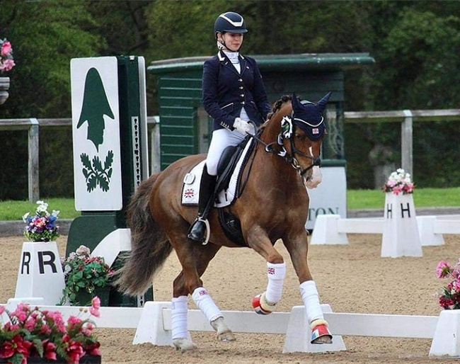 Lauren Geraghty on WS Jackson at the 2021 CDI Wellington Heckfield :: Photo © M. Lawrence