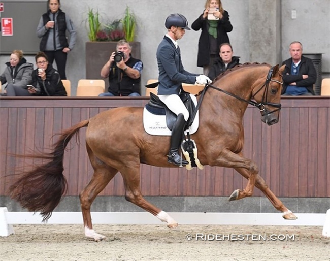 Eric Guardia Martinez and My Vitality win the 4-year old division at the 2021 Danish Young Horse Championships :: Photo © Ridehesten